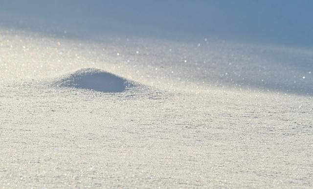 粉雪